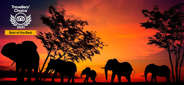 Top 15 parques nacionales
