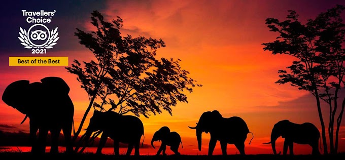 Conoce Los 10 Mejores Parques Nacionales del Mundo