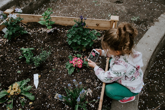 What Is the Best iPhone for Kids?