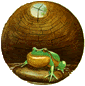 Dr. Frog in His Tiny Well