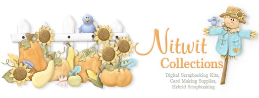 banner_nitwit