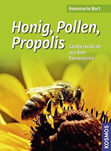 Honig, Pollen, Propolis: Sanfte Heilkraft aus dem Bienenstock