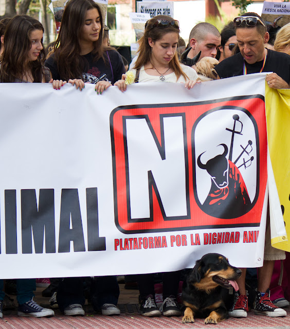 Zaragoza Antitaurina - Anti bullfighting Fiestas del pilar Remember - Contra el toro de la Vega en Tordesillas - 