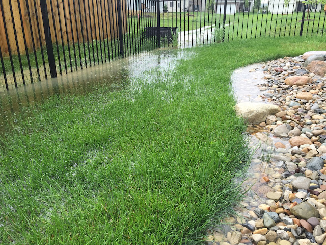 flooded backyard indiana