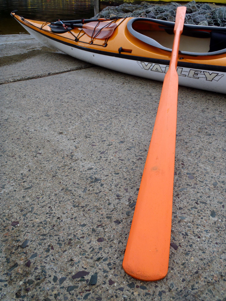 my newfoundland kayak experience: my greenland paddle and i