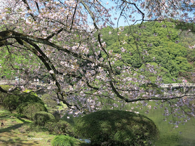 park, Tokyo