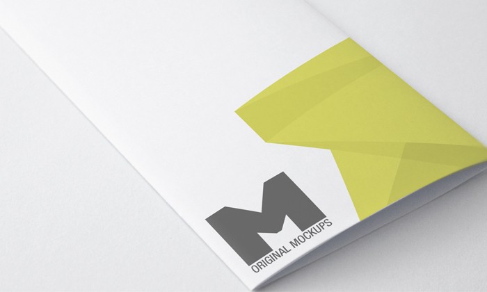 Tri Fold Brochure Mockup