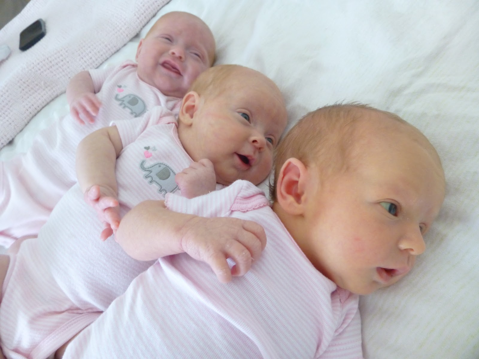 Lucu Banget Gambar Foto Bayi Bayi Kembar Tiga