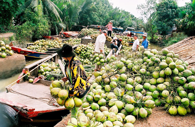 Top 8 Nice Places to Visit in Vietnam ben tre