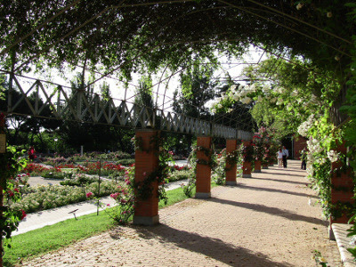 Parque la Rosaleda