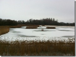 Fowlmere
