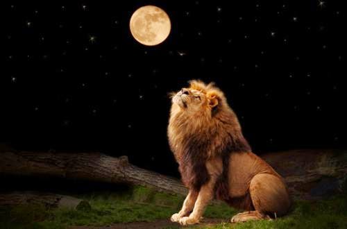 You Can Only Be Happy If You Express Your True Nature Via John Smallman