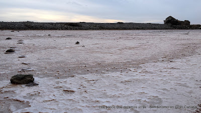 Las Salinas de Abajo