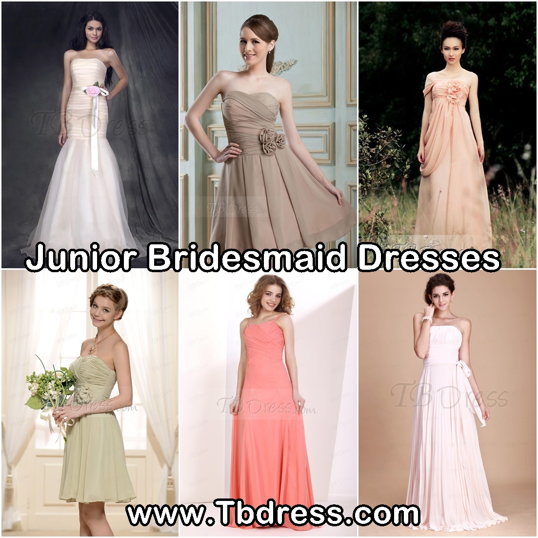 http://www.tbdress.com/Cheap-Junior-Bridesmaid-Dresses-101142