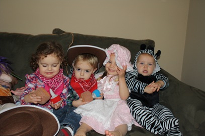 IMG_8717 IMG_8717