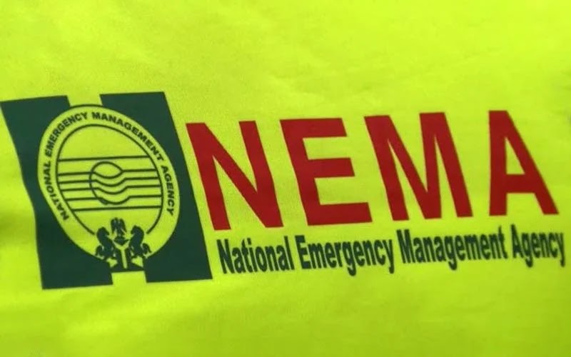 NEMA receives 542 stranded Nigerians from UAE