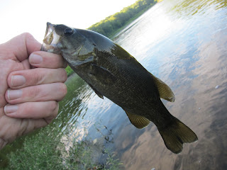 potomac smallmouth