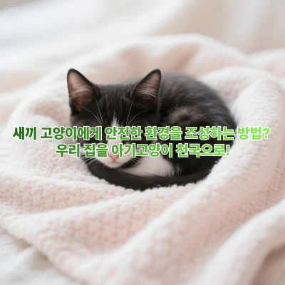 새끼 고양이에게 안전한 환경을 조성하는 방법