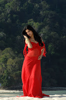 Shruthi Hassan New Photos From 7th Sense