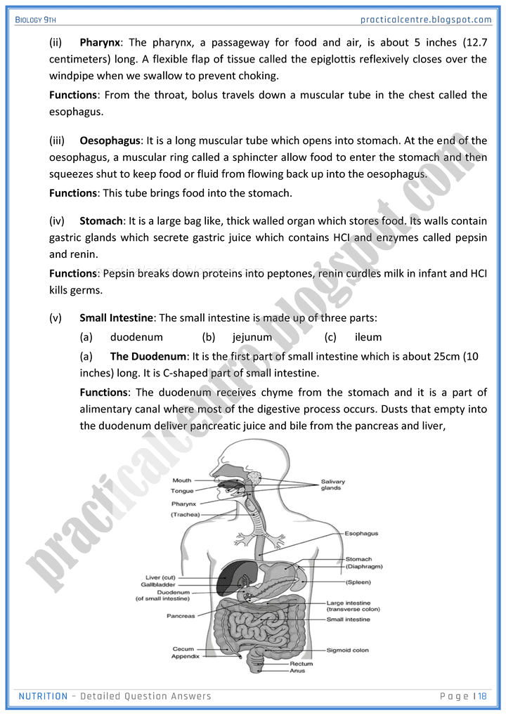 nutrition-detailed-question-answers-biology-9th-notes