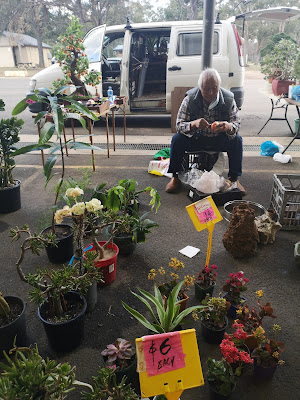 Plant seller. Photography by Rachel Hancock @retrogoddesses