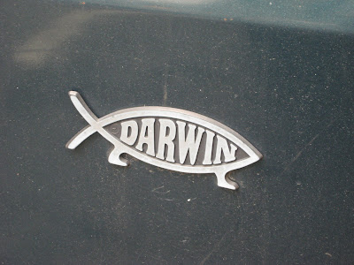 Darwin Fish