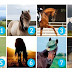 Τεστ: Διαλέξτε το άλογο που σας ταιριάζει