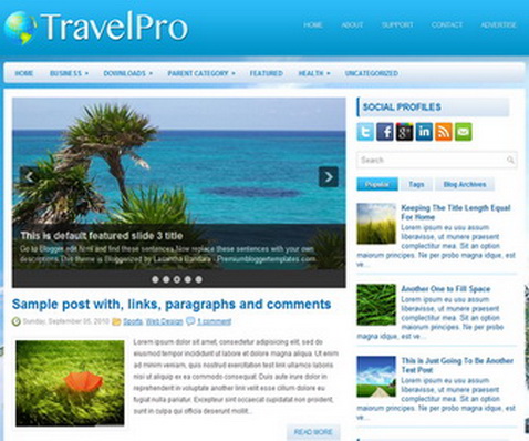 TravelPro blogger column