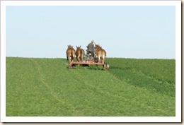 amish workin field 09 #2