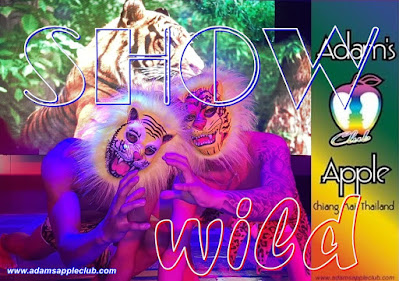 HOT & WILD SHOWS unique and awesome @ Adam's Apple Gay Club Chiang Mai