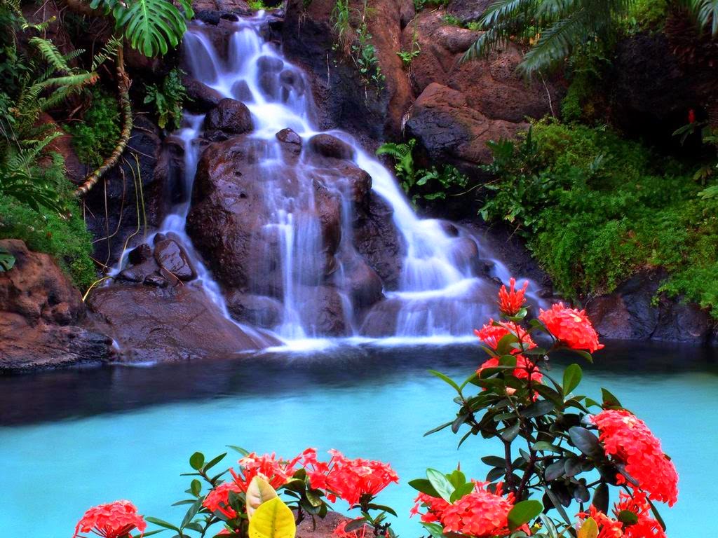 Download Free Animated Waterfall Wallpaper in high resolution for free ...