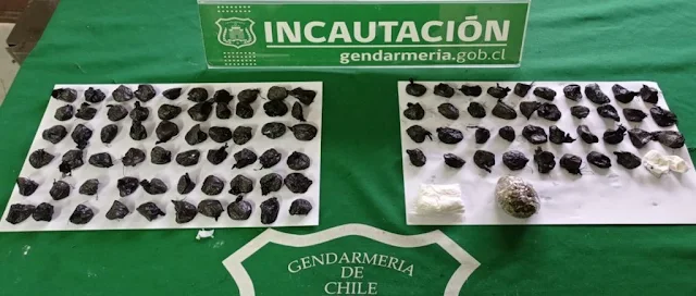 Gendarmes incautan droga tras jornada de visita en cárcel de Puerto Montt