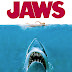 FTM 723: JAWS