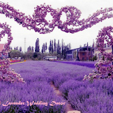 Wedding Decor Lavender