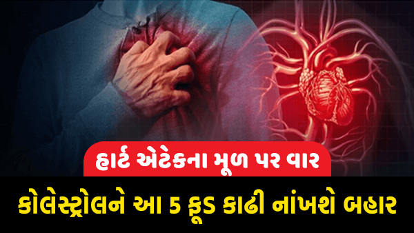 લોહીમાં જામેલા કોલેસ્ટ્રોલને આ ફૂડ કાઢી નાંખશે બહાર