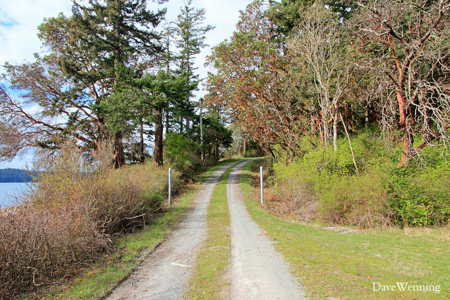 Fidalgo Island Crossings: Gardens of Kukutali