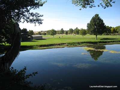 Canyon View Park Lake, down the hill from the RV campground