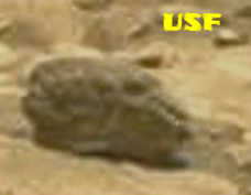 Alien Head Found On Mars.