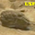Is This The Head of an Alien Discovered on Mars By Spirit Rover