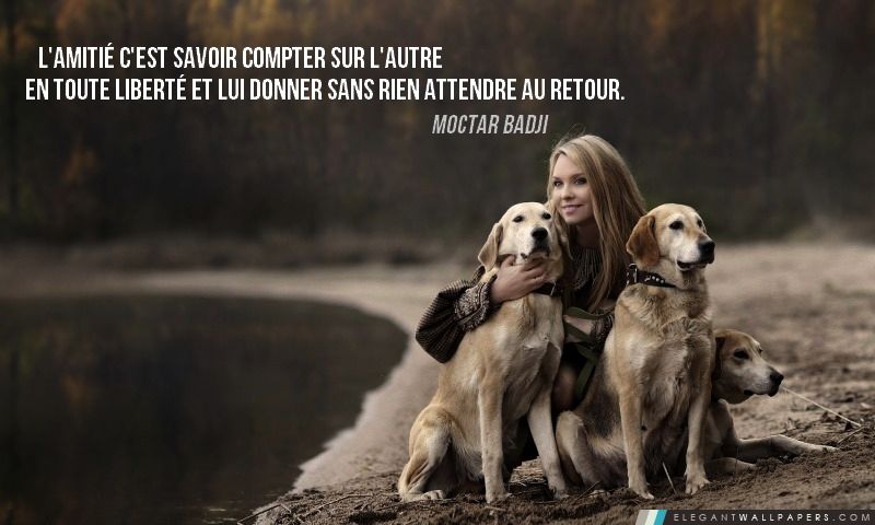 Les Beaux Proverbes Citations Et Pensees Positives Sur L Amitie Prover Be