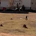 VÍDEO: jovem de 17 anos atira contra o próprio pai para defender a mãe de agressões