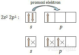 Promosi atau eksitasi elektron agar dapat menangkap elektron lebih banyak
