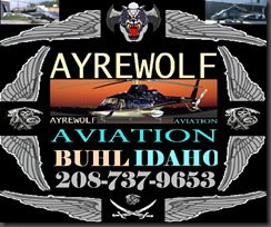 AYREWOLF AVIATION LOGO 1