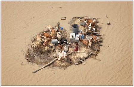 bertahan-di-tengah-banjir