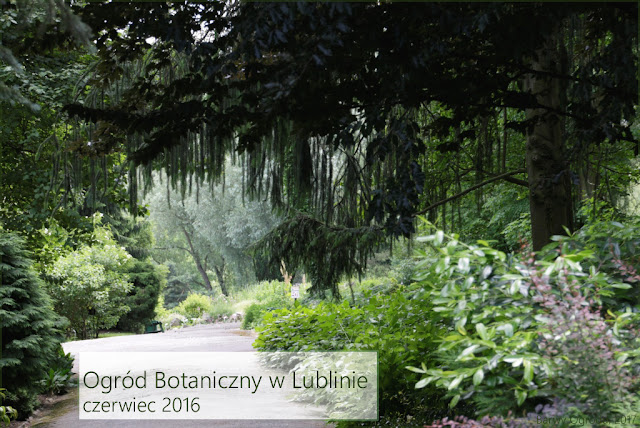 ogród botaniczny w Lublinie