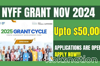 Nigeria Youth Futures Fund Grant 2024 for Youth Leaders (Up to $50,000) – Apply NYFF Grant Now!