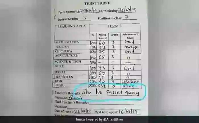 'She Has Passed Away': Teacher's Embarrassing Remark On Report Card Shocks Internet, South Africa, News, Education, Student, Teacher, Social Media, World, Humor