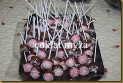 Coklat 1.4.2011 019