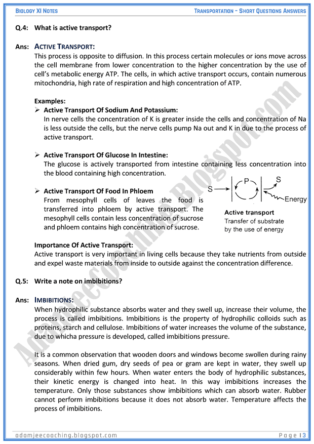 transportation-short-question-answers-biology-11th