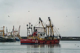 newlyn harbour visiting yachts